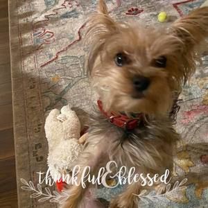 Meet your Posher, Burton